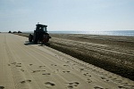 Neteja de la sorra de la platja de Gav&agrave; Mar